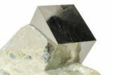 Natural Pyrite Cube In Rock - Navajun, Spain #227696-1